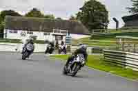 Lower Group Silver_Grey Bikes